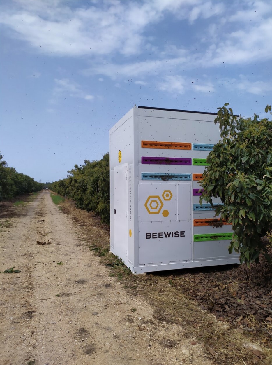 A BeeWise Robot Hive, Photo Courtesy of Beewise Technologies Ltd., Accessed 2022