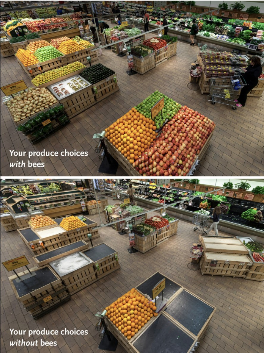 Grocery Store With and Without Bees, Photo Courtesy of Whole Foods, Accessed 2022
