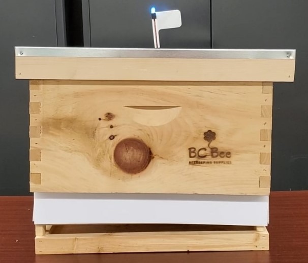 The First Instrumented Beehive