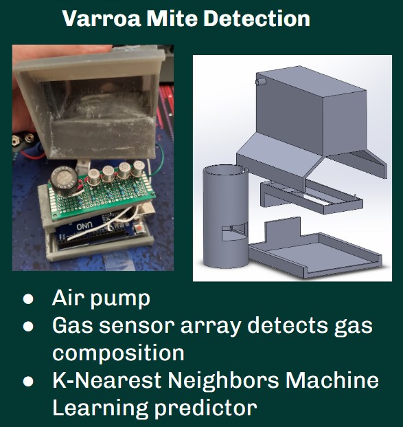Varroa Mite Detection System
